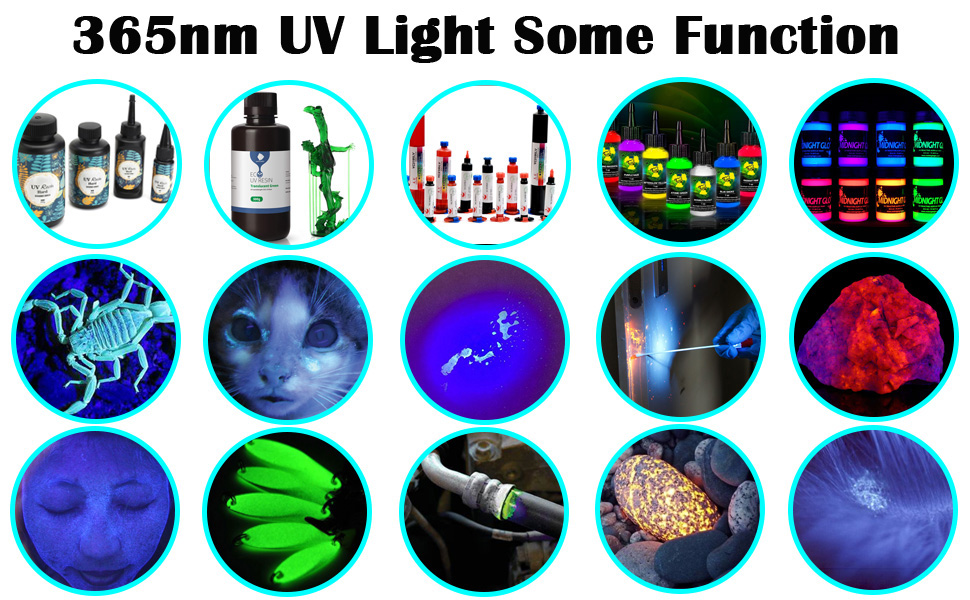 365 Nm Black Light
