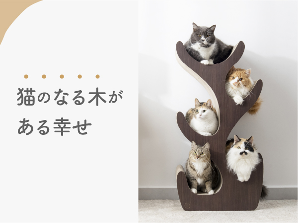 猫たらしページ 猫たらしページ カード検索 ｜ Z/X - Zillions of enemy X