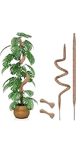moss stick　sw58 71KTn9S2PuL._UF350,350_QL50_.jpg