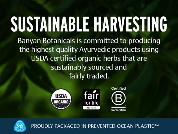 blood cleanse tablets