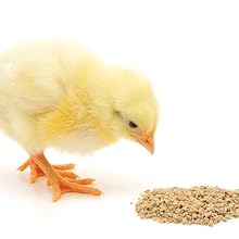 Small manufacture image 4