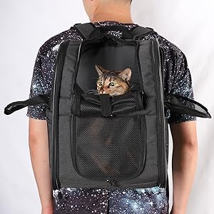Schwarzer Netzrucksack für Haustiere, der auf dem Rücken einer Person getragen wird. Das Gesicht einer kleinen Katze ist durch die vordere Öffnung sichtbar. Der Rucksack verfügt über gepolsterte Träger und ein Reißverschlussfach.