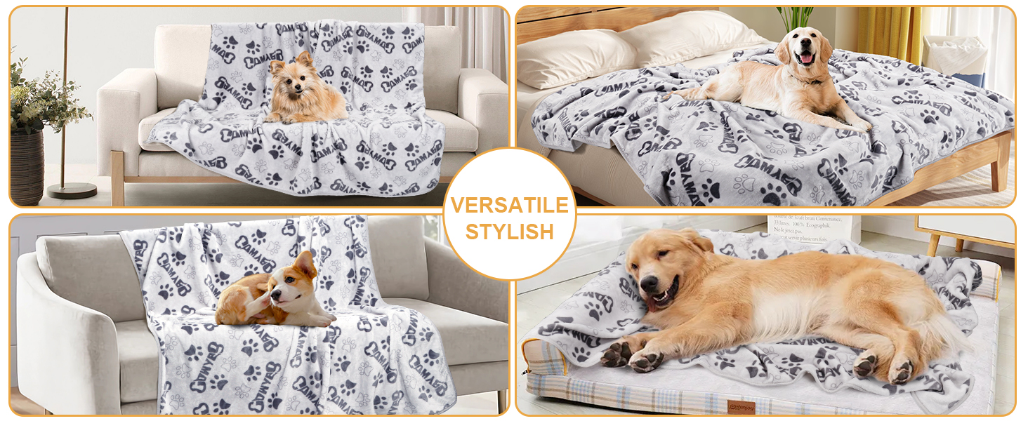blanket for dog