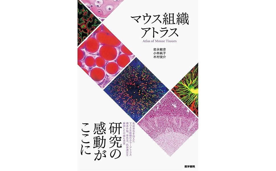 マウス組織アトラス | 岩永 敏彦 |本 | 通販 | Amazon