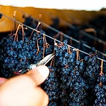 raisins secs biologiques; raisins de Corinthe biologiques; raisins secs; raisins; raisins grecs