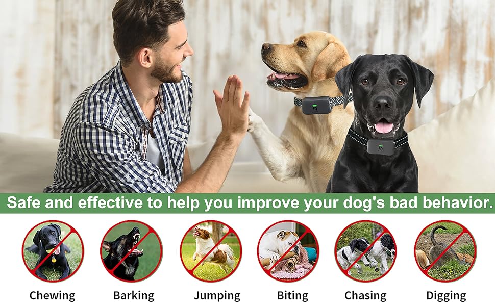 mimofpet shock collar for large medium small dogs dog traning collar