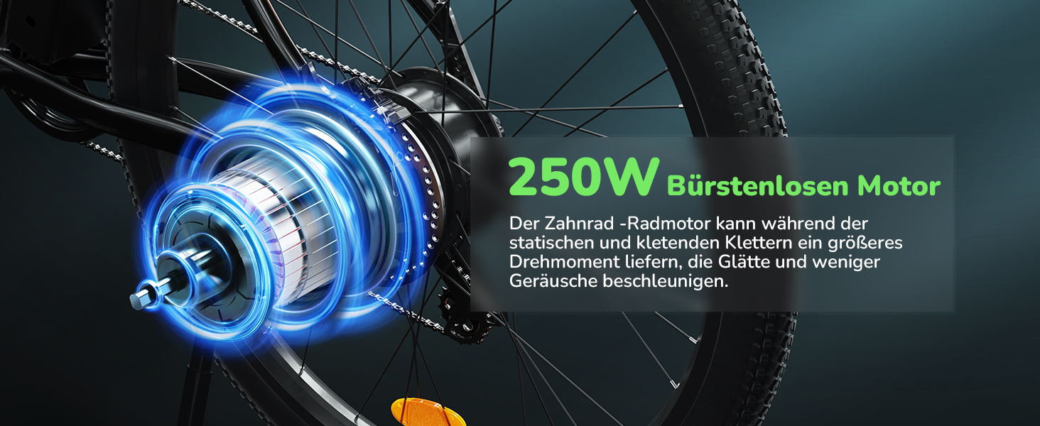E-Bikes for men and women