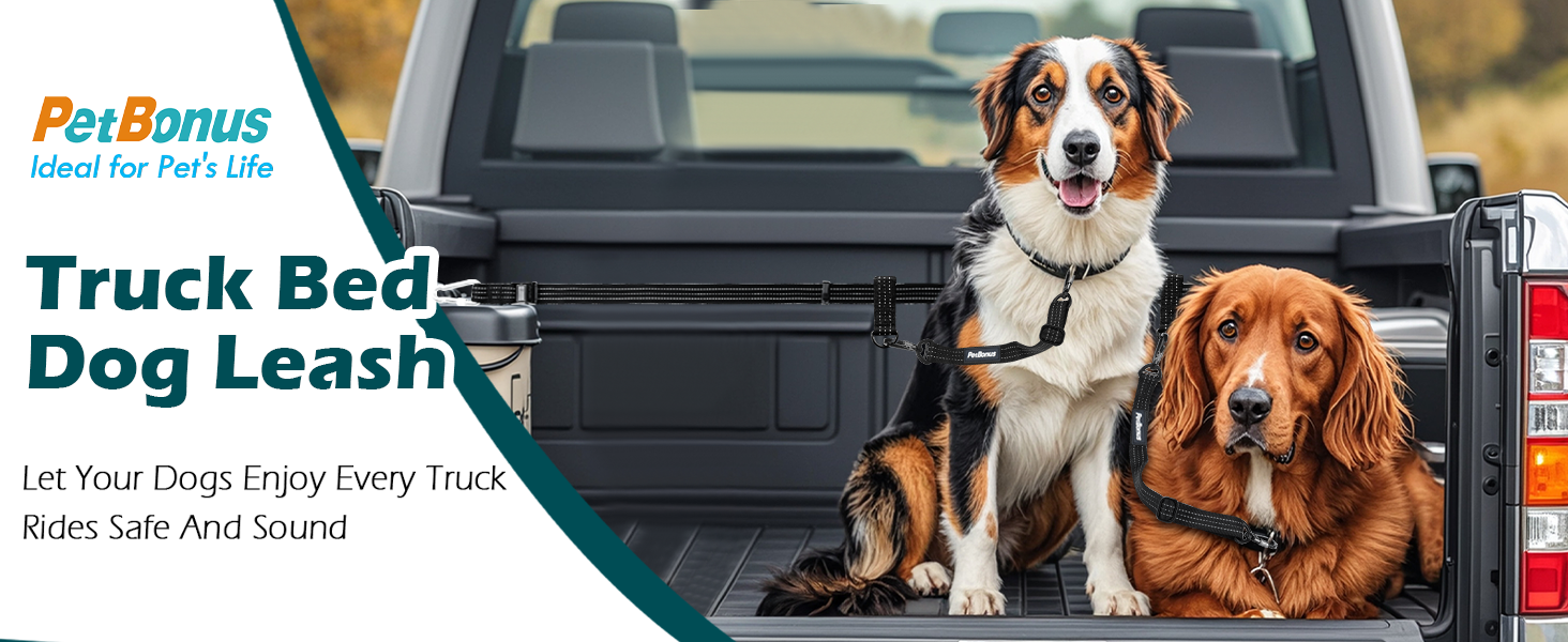 truck bed leash for dog