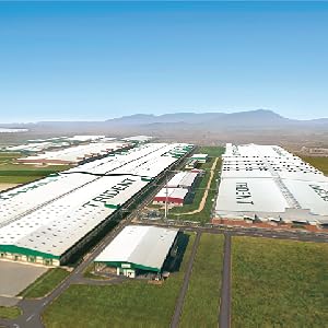 Premium Luxury feel Cotton Pillow Cover set