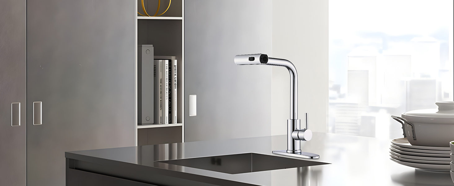 kitchen faucet with pull down sprayer