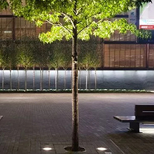 low voltage LED LANDSCAPE LIGHTS in ground landscape LIGHTing   OUTDOOR SPOTLIGHT well lights