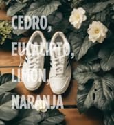 Con Aceites Esenciales de Cedro, Eucalipto, Limón y Naranja