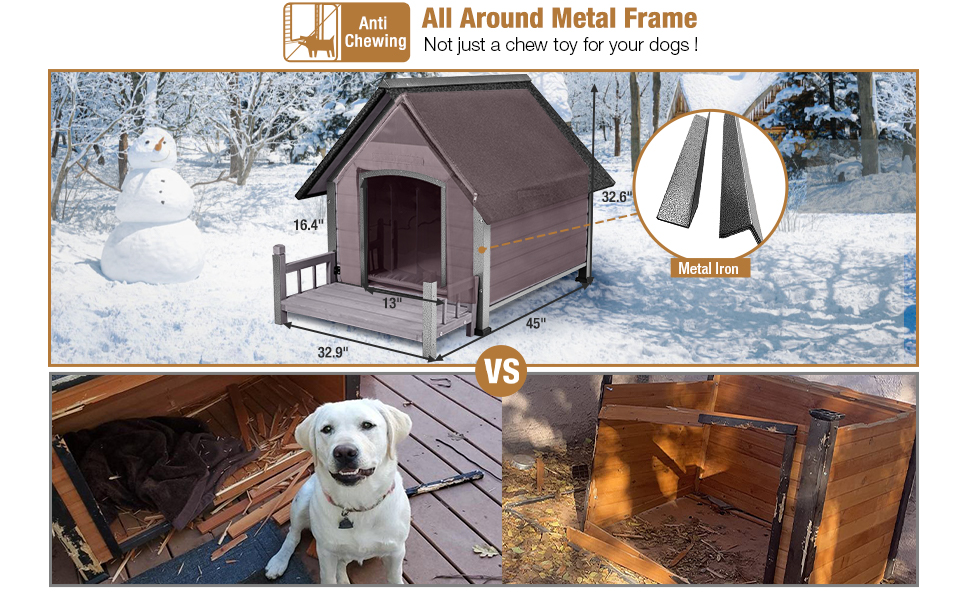 Insulated dog house