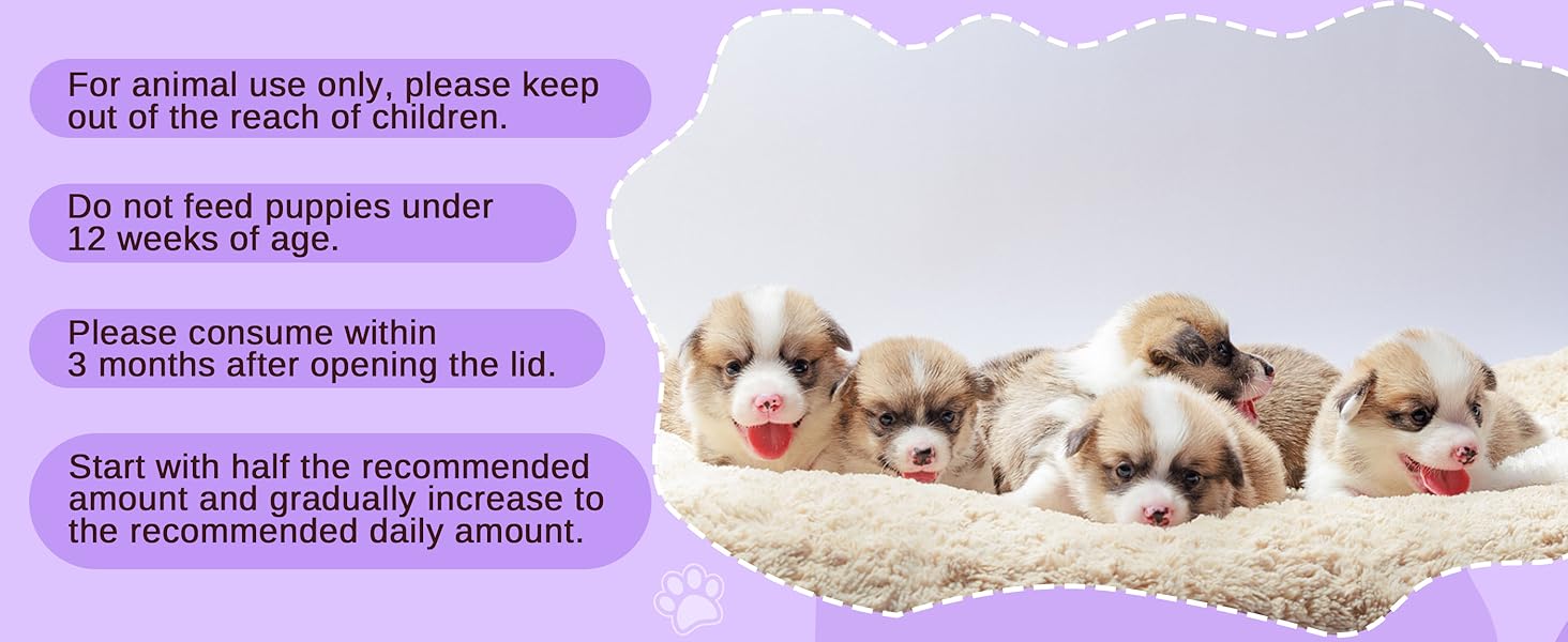 Dog Probiotic Chews