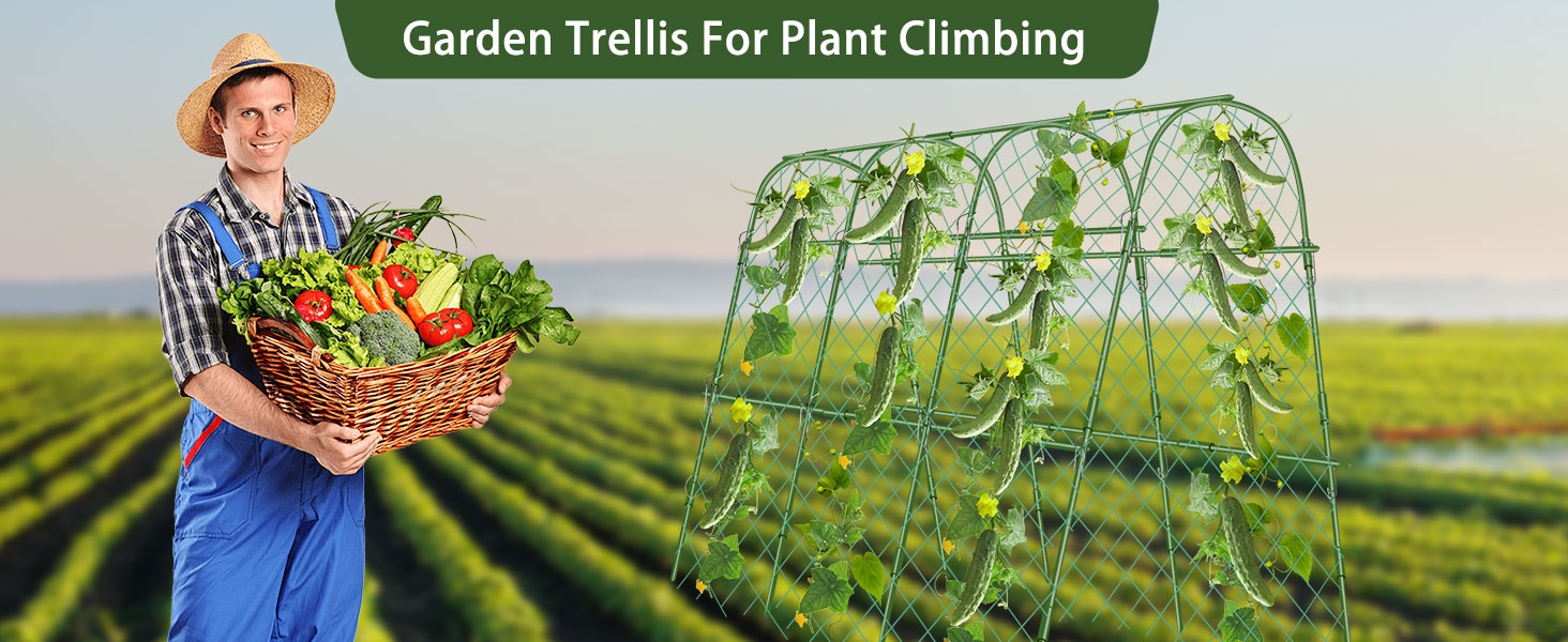 cucumber trellis for raised garden