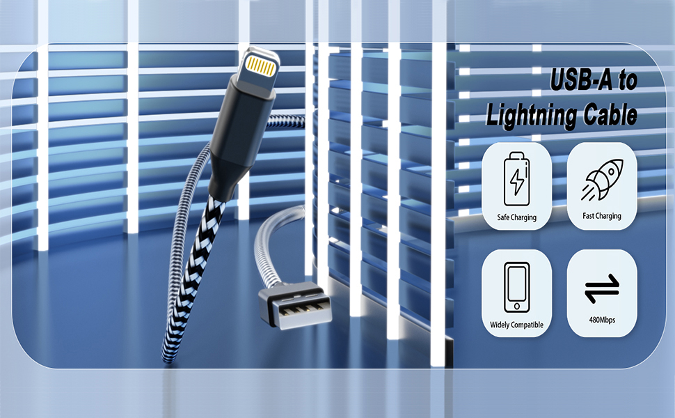 USB A to Lightning Cable