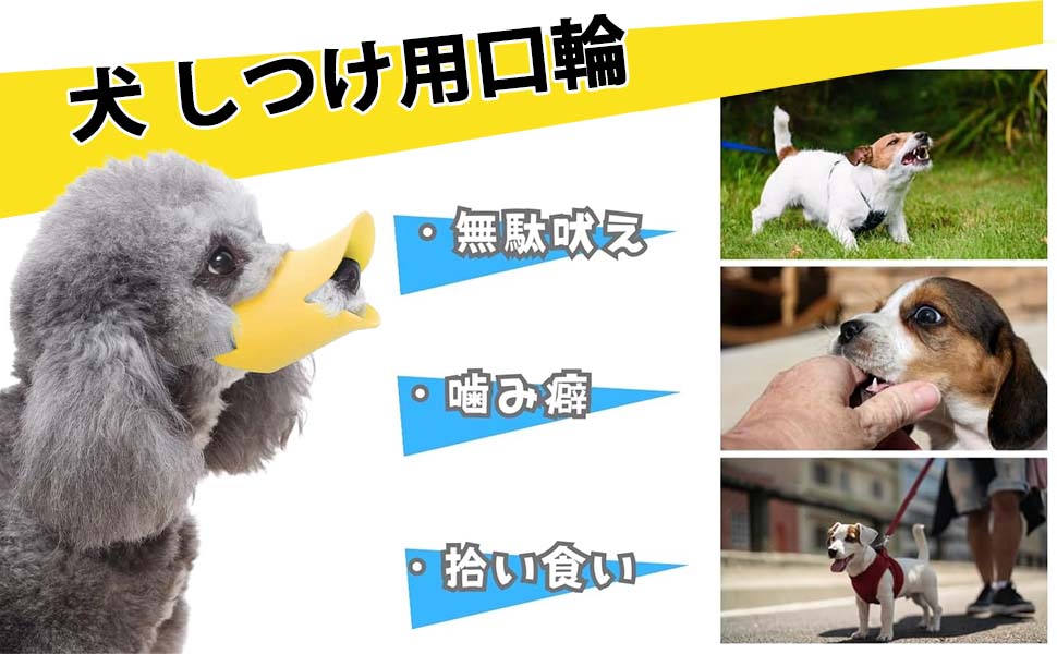 犬の口