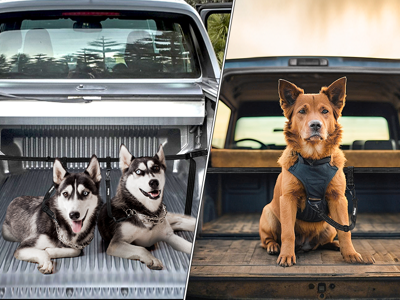 Pick-Up Bed Restraint Lead