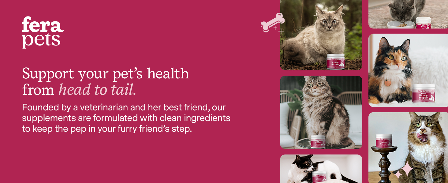 Founded by a veterinarian and her best friend, our supplements are created with clean ingredients
