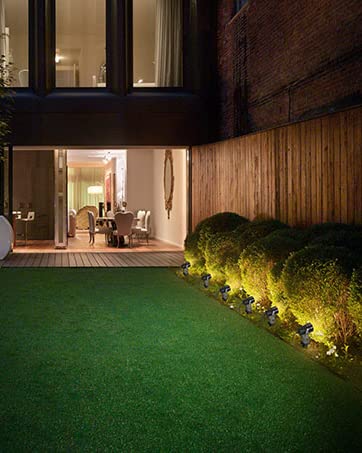 garden light for plant