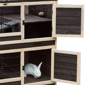 large guinea pig cage