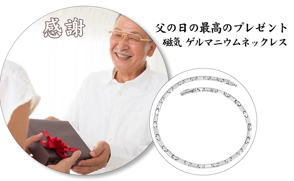 Amazon | [N+NITROLUBE] ゲルマニウム ネックレス メンズ