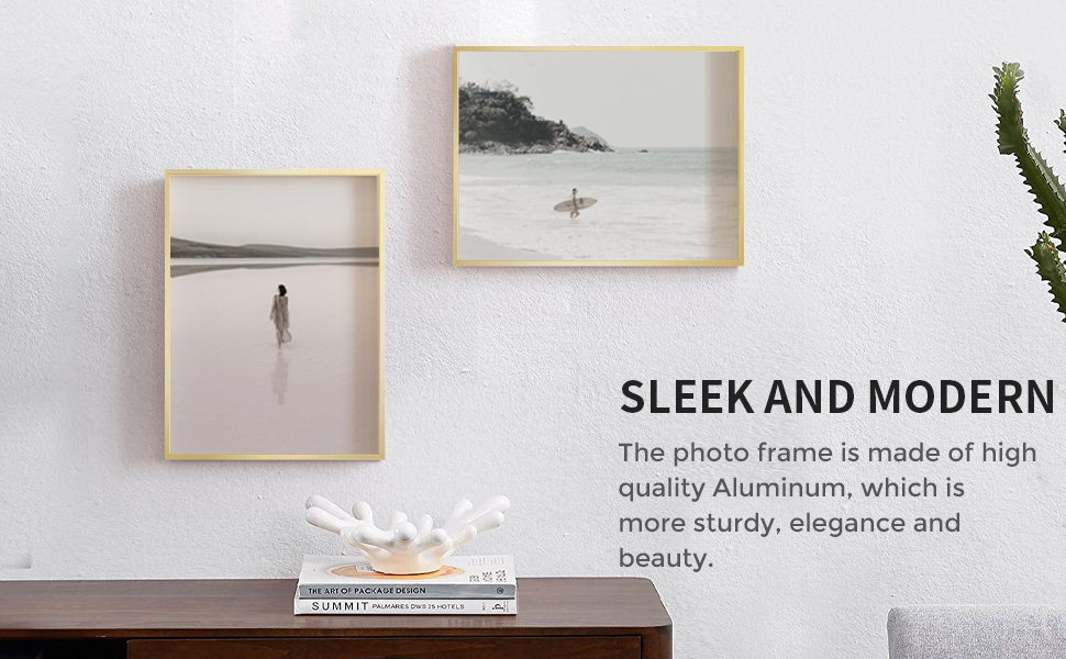 11x14 Metal Picture Frame 11x14 Aluminum Photo Frames with 8x10 Mat Includes