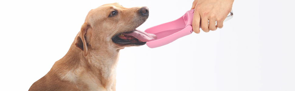 犬ウォーターボトル