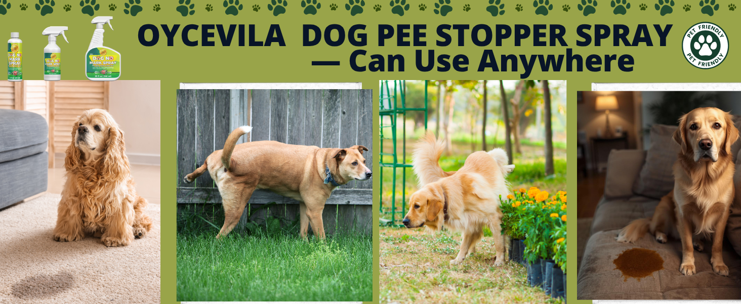 stop dogs from urinating in house