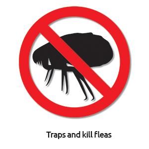 Small manufacture image 6