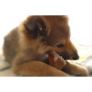 Amazon 犬用おやつ ふわふわベーコン仕立て ビーフ 80g ペティオ Petio ペット用品 通販