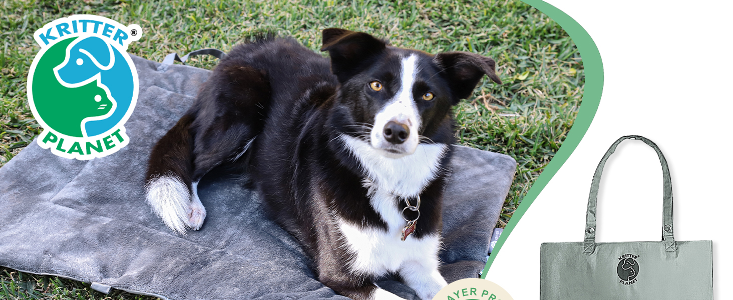 Border Collie resting on grey pet bed, accompanied by teal-colored handbag with pet-related certification logo in corner.