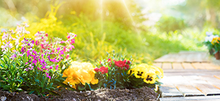 gardening gloves