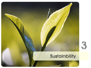 4 Pillars of Our impact 3