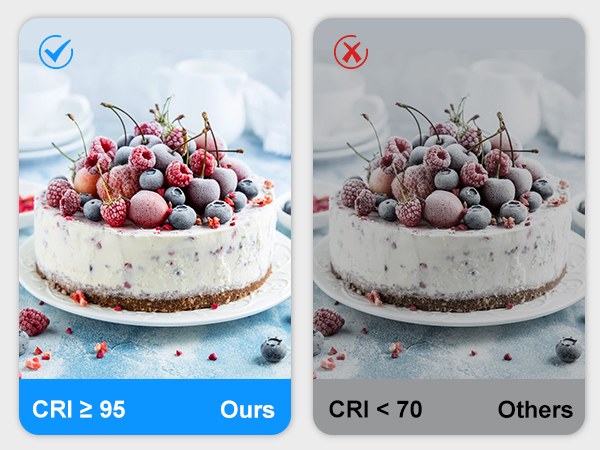 12 x 12 inch light box