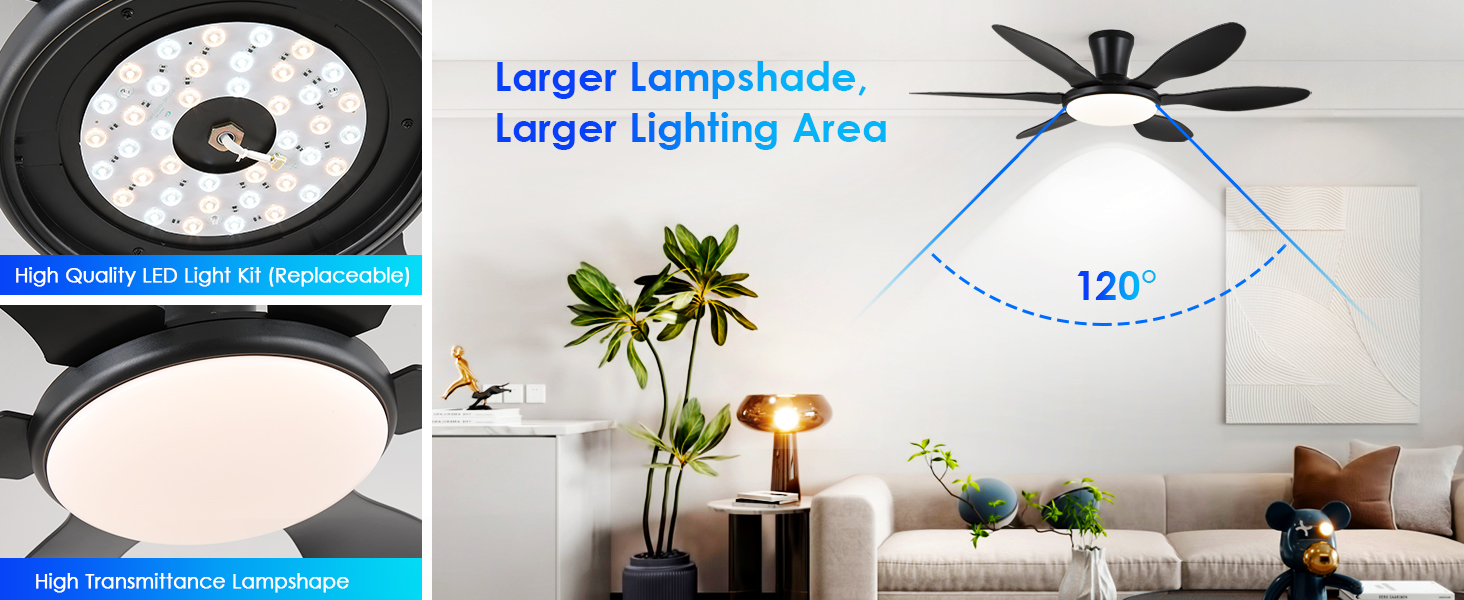 black ceiling fans with lights