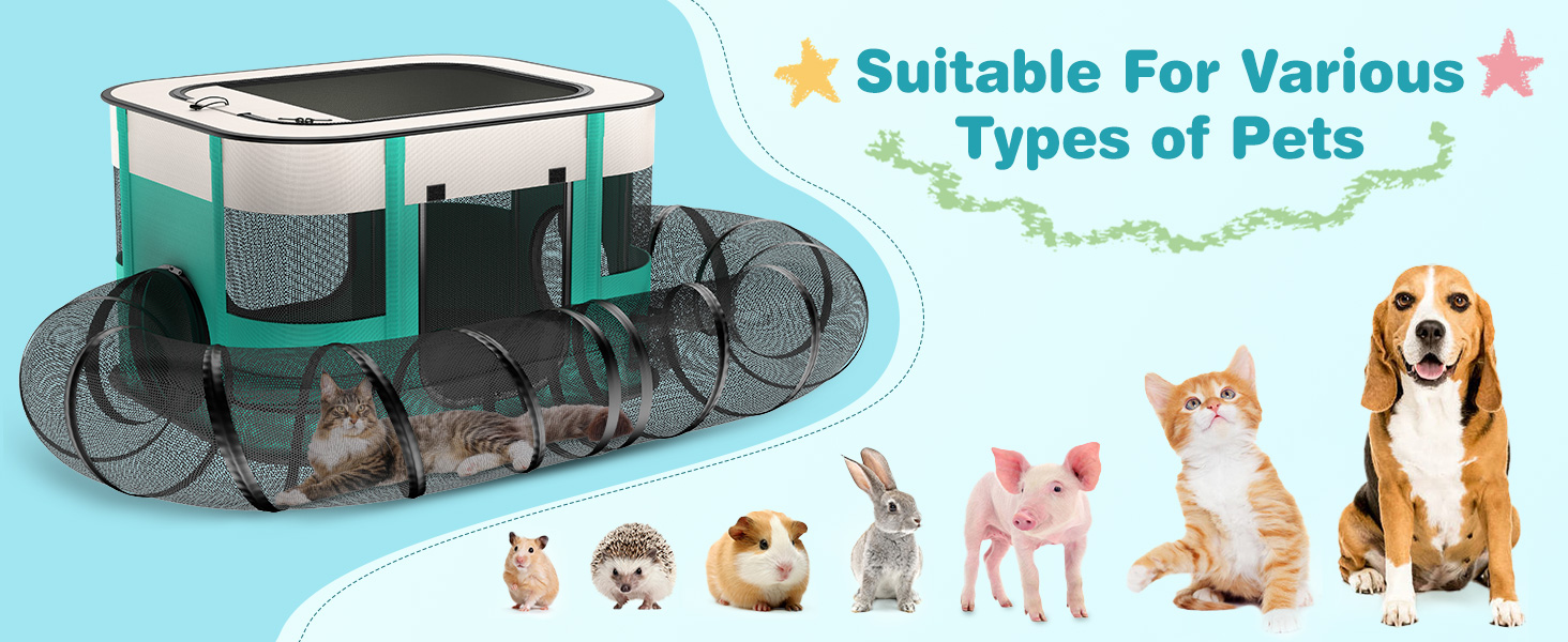cat tunnel outdoor