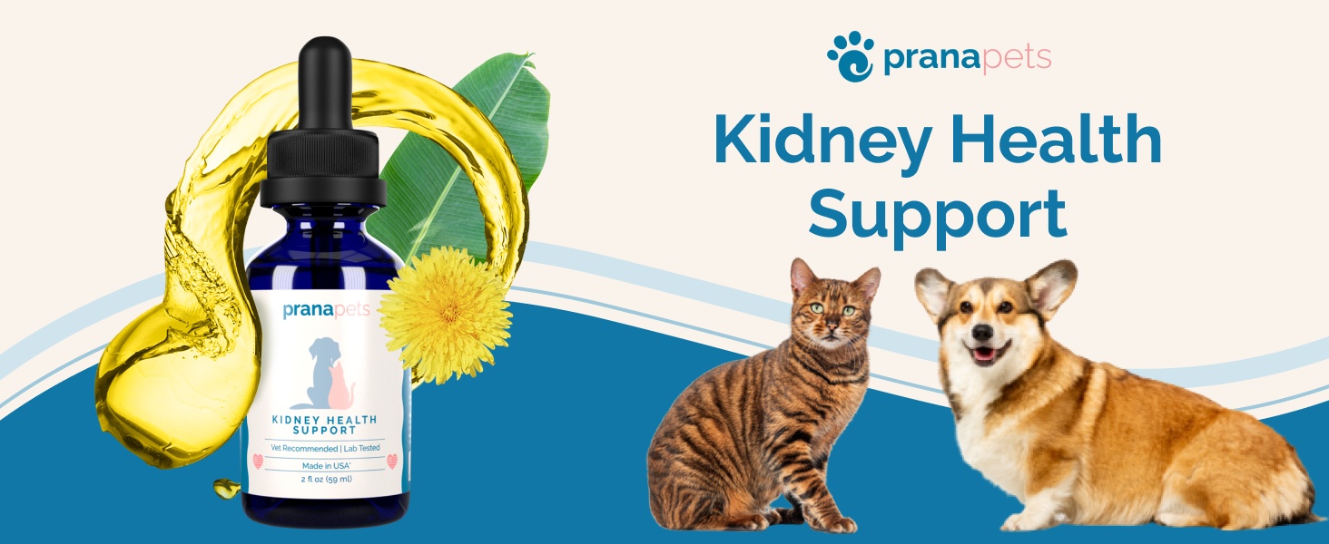 Kidney health support for dogs and cats urinary supplement natural kidney support