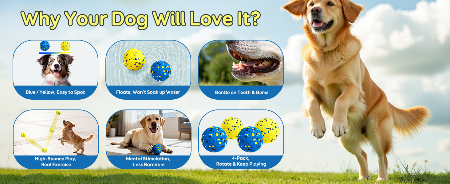 dog balls for aggressive chewers