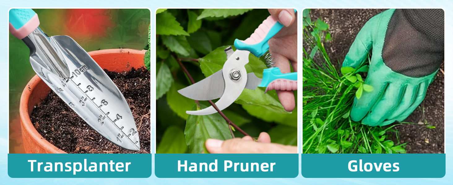 garden starter kit