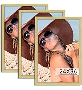 Amazon.com - HLiWEGNS Matte Gold 16x24 Frame Set of 3