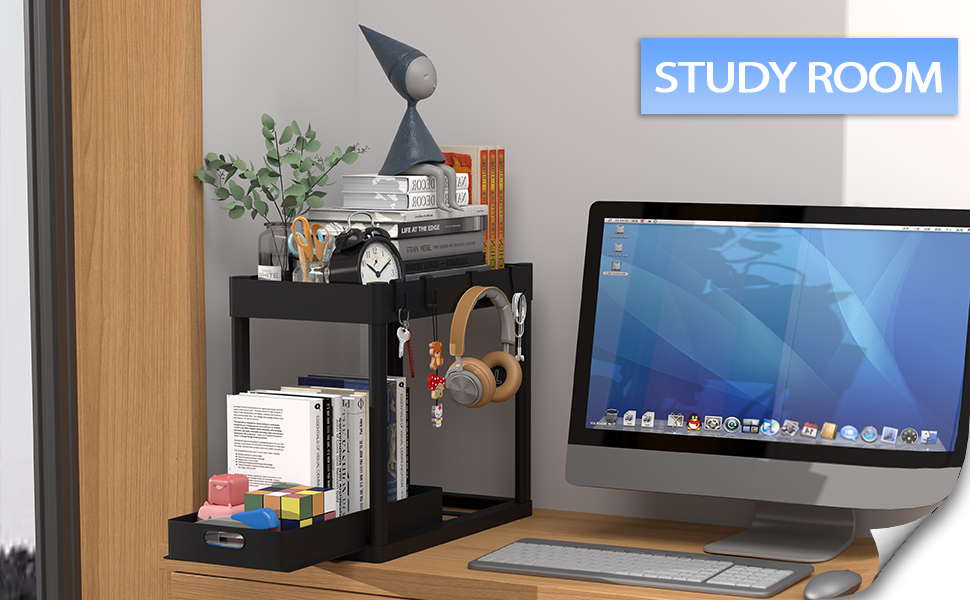 DAIFANNUO Under Sink Storage Kitchen Bathroom Organizer 2 Tier