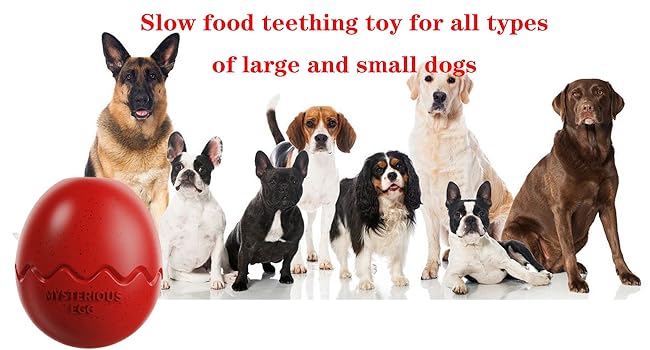 dog chew toy aggressive chewer