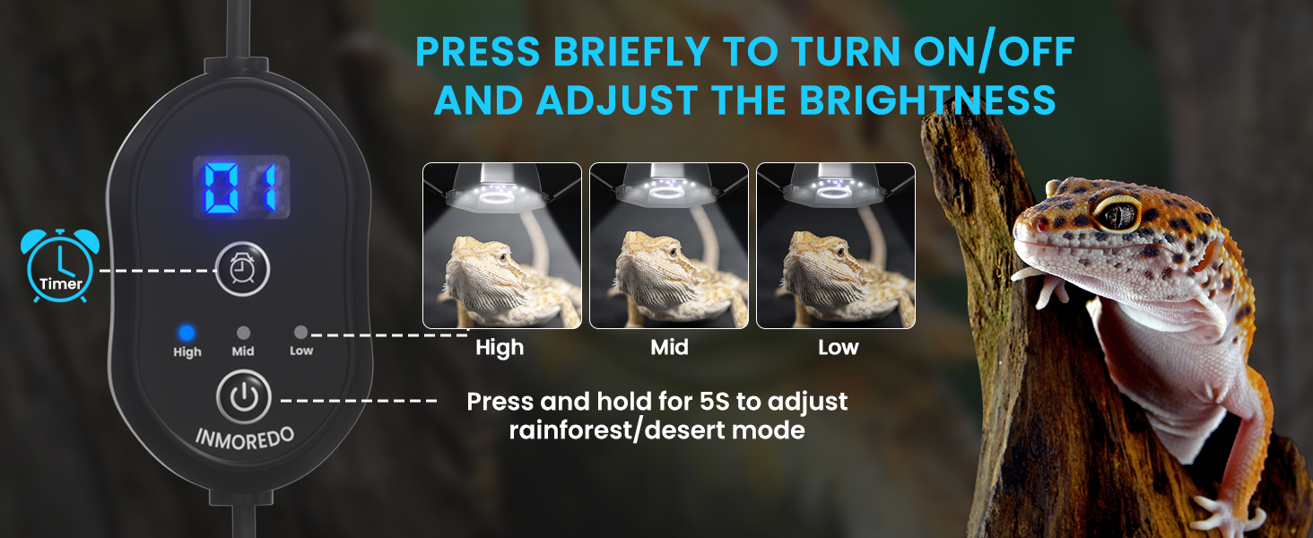 uvb light for reptiles