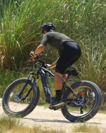 e bike