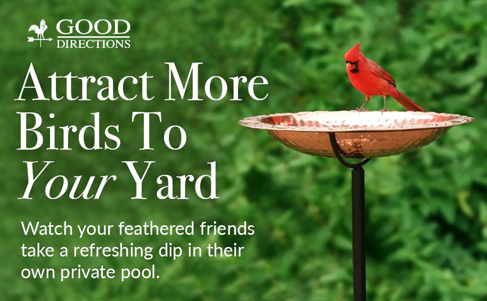 bird bath outdoor outside cardinal birdbaths feeders seed copper hummingbird large bowl garden pole