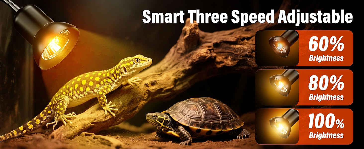 Heat Lamp with Clamp