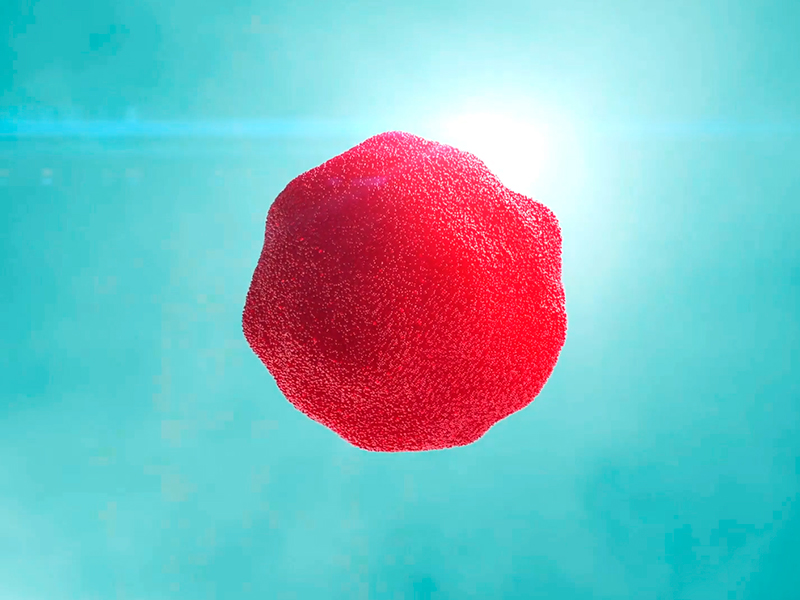 Omega-3 krill oil supports healthy cells