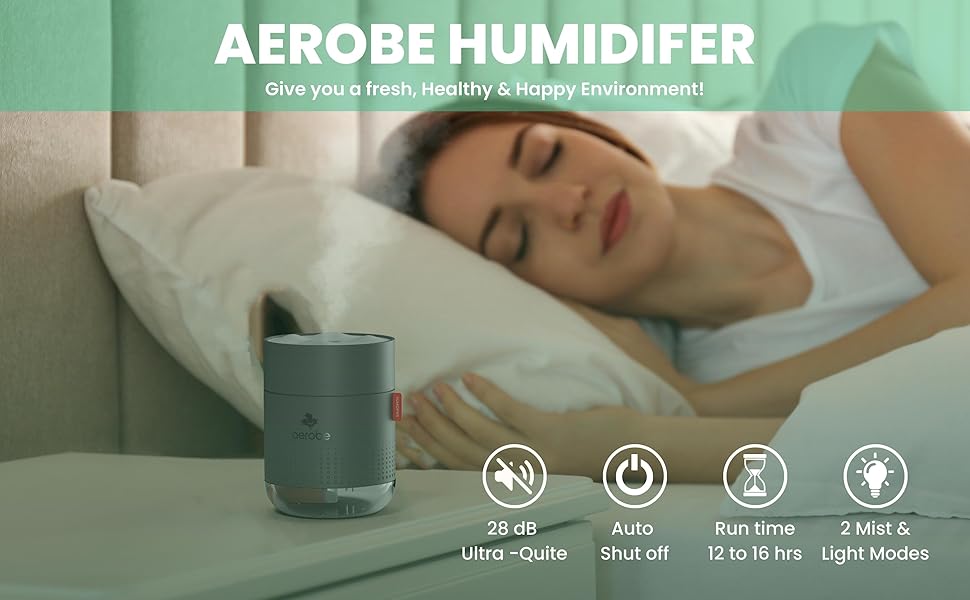 Aerobe Air Humidifier For Bedroom Cough Cool Mist Humidifiers For Home Mini Humidifier Plant