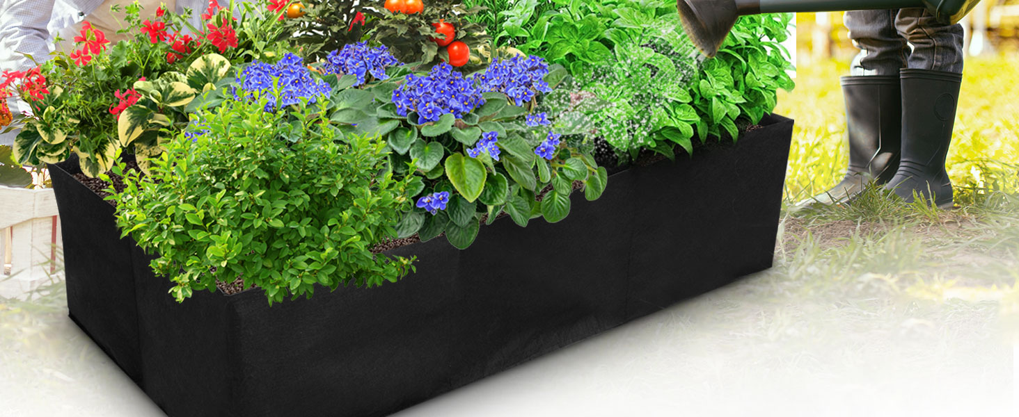 raised garden bed